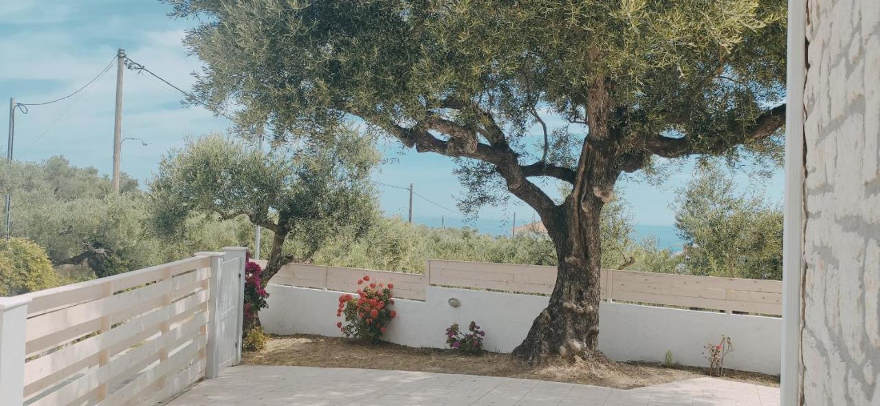 Villa Zante Avia Plános Екстериор снимка